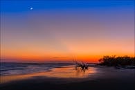 南卡罗来纳州弗利海滩上，月光映照着浮木，日落景象十分壮丽