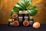 Elegantly arranged skincare products surrounded by natural elements promoting luxury and rejuvenation.