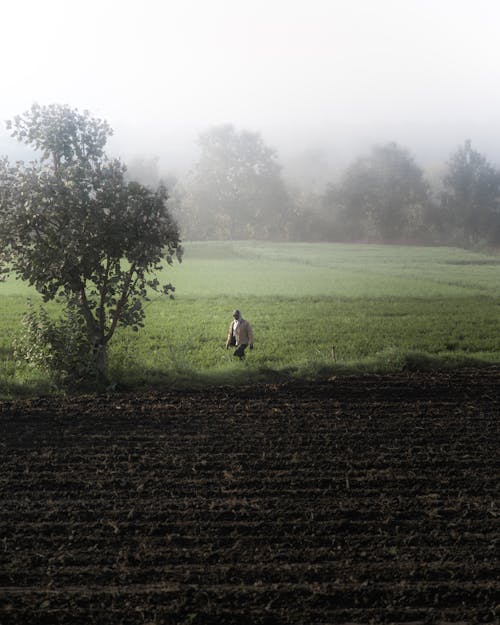 bezplatná Základová fotografie zdarma na téma chůze, farma, hřiště Základová fotografie
