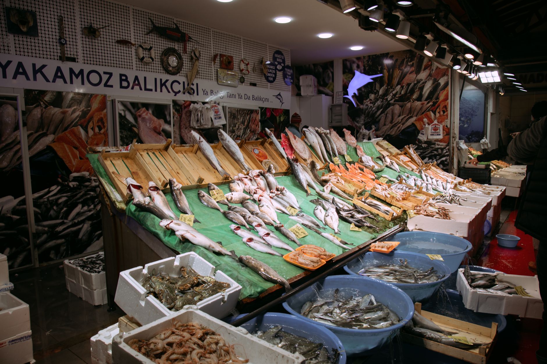 Colorful seafood display at an Istanbul market showcasing various fresh fish and seafood.