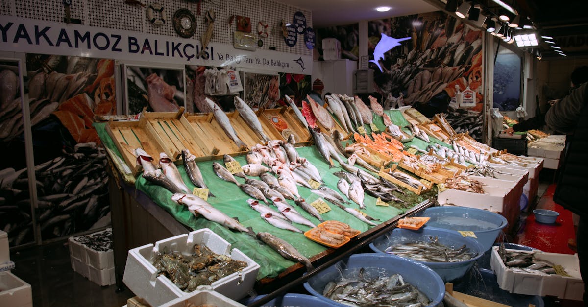 Top 10 des espèces de poissons frais à connaître