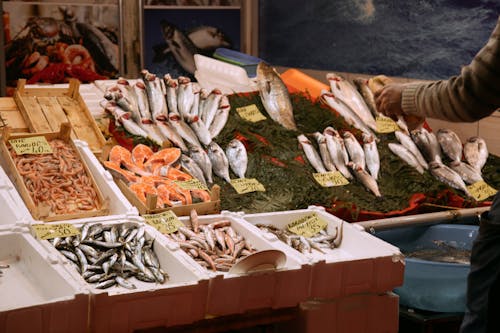 Darmowe zdjęcie z galerii z bazar, owoce morza, ryby