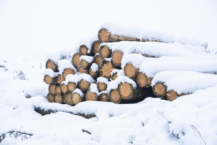 A Snow Covered Pile Of Lumber 