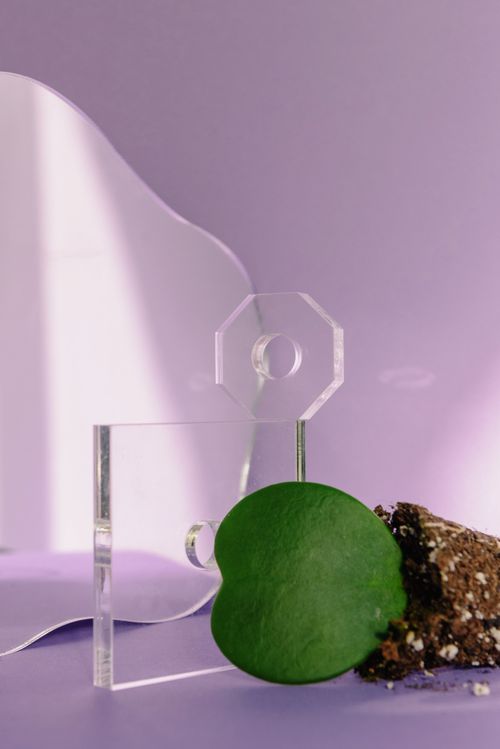 Free Artistic abstract still life featuring a green leaf and glass objects on a purple background. Stock Photo