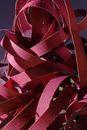 Red Paper Strips in Close Up Photography