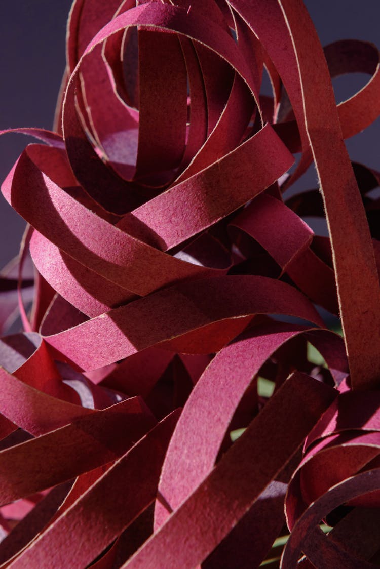 Red Paper Strips In Close Up Photography