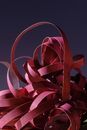Red Paper Strips in Close Up Photography