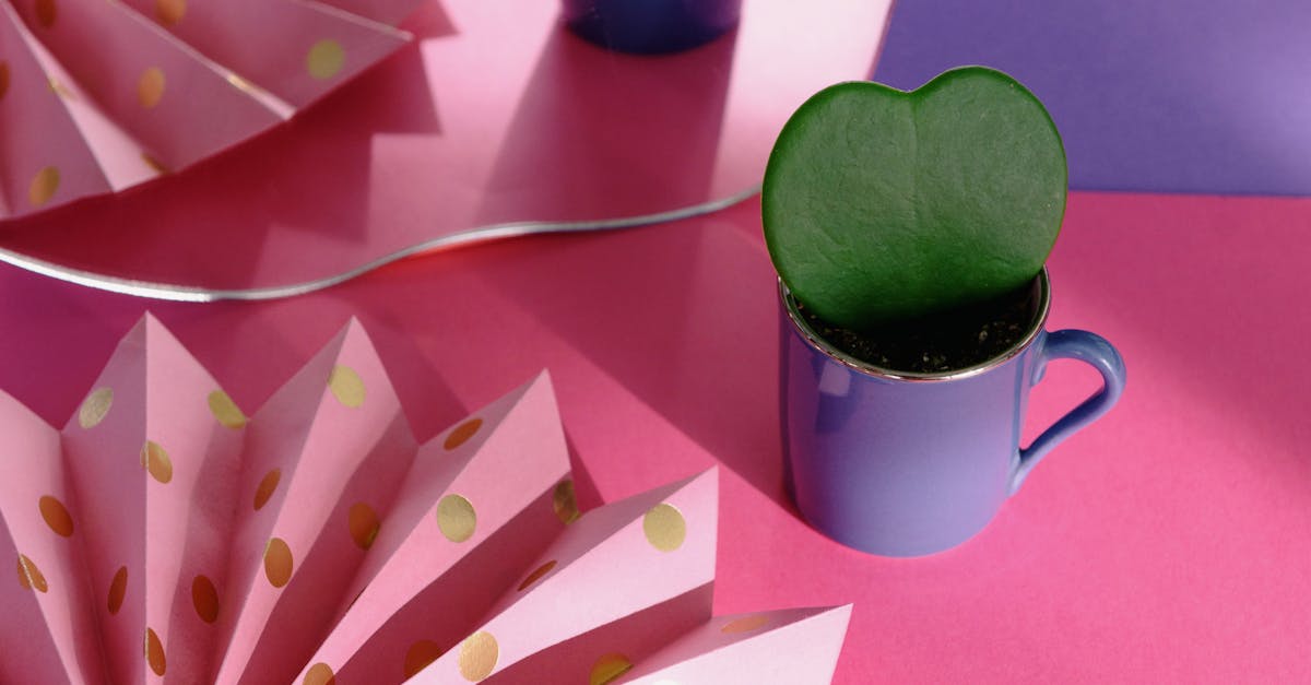 Pink Paper Decorations · Free Stock Photo