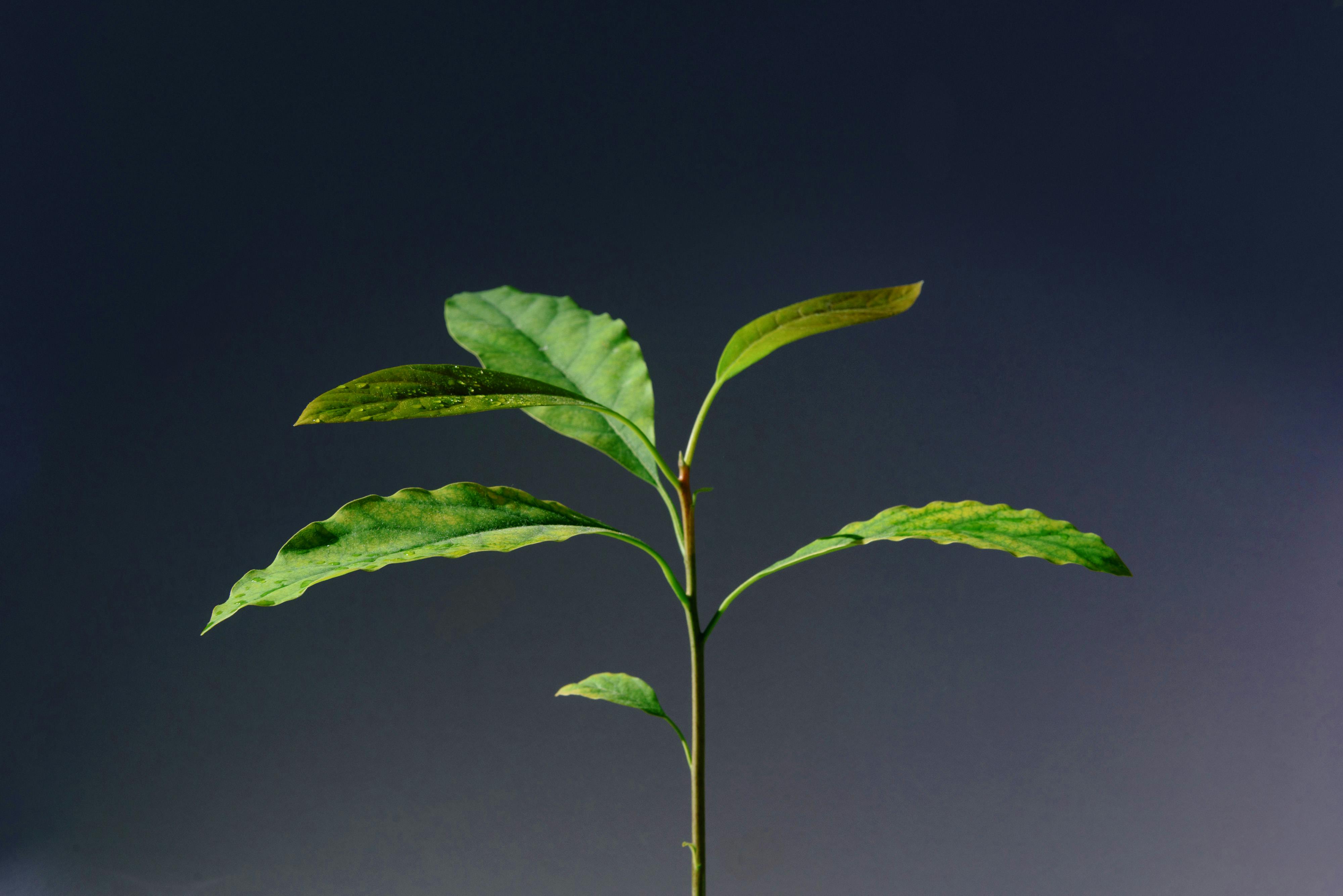 Brighter Tomorrow: Creating Goals to Help You Heal Through Your Grief