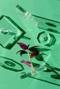 Geometric Shapes on the Table