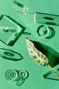 An Alocasia Frydek Leaf and Various Shaped Objects on Green Table