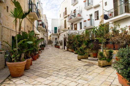 Scenic alley lined with potted plants and rustic architecture, creating a serene urban setting.