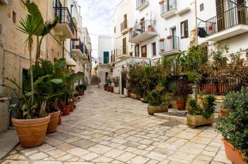 Free Scenic alley lined with potted plants and rustic architecture, creating a serene urban setting. Stock Photo