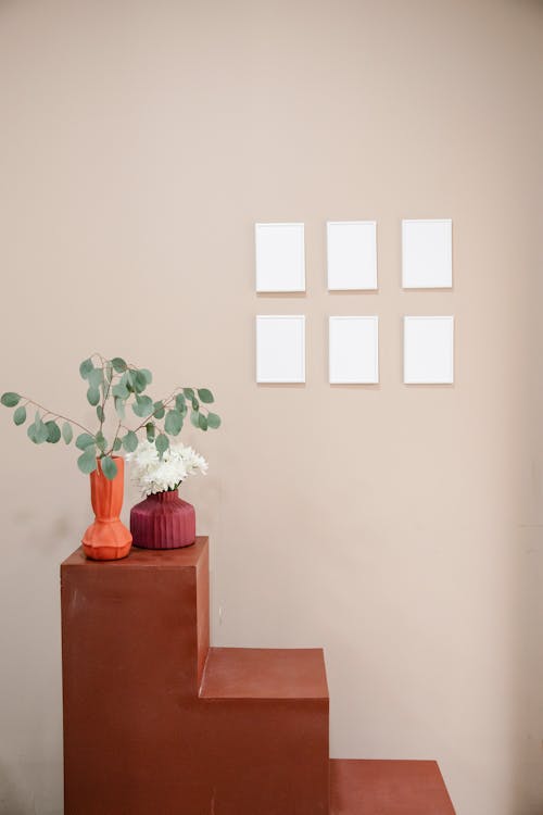 Empty white framed pictures hanging on wall near stepped shelf decorated with elegant vases with gentle Eucalyptus leaves and flowers