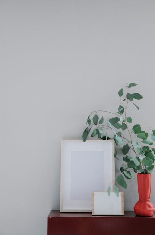 Blank frame and wooden stand with white papers placed on cabinet and composed with red vase with fresh green leaves near wall