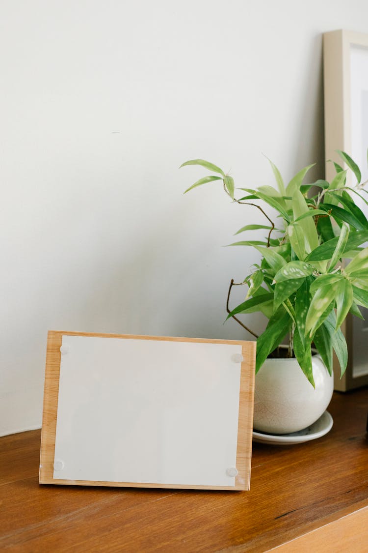 Wooden Board With Paper Near Plant