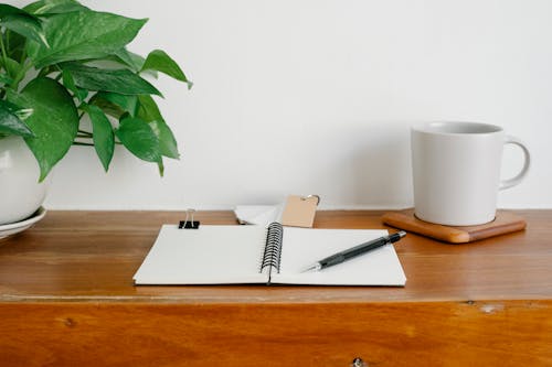 Free Timber table with stationery and potted plant with mug located in modern office Stock Photo
