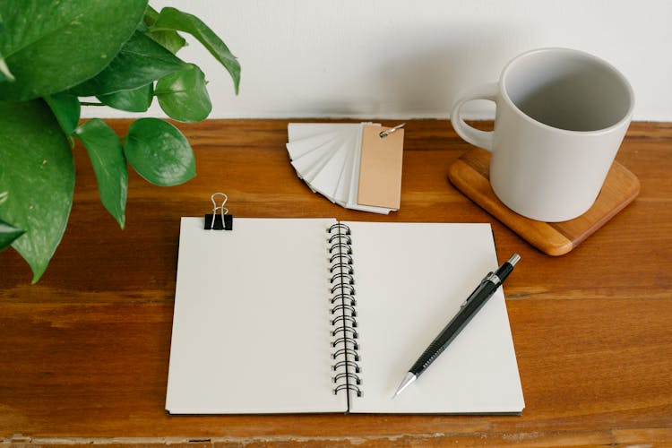 Stationery Near Mug And Plant