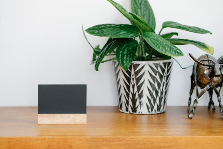 Name Card Near Plant And Decoration