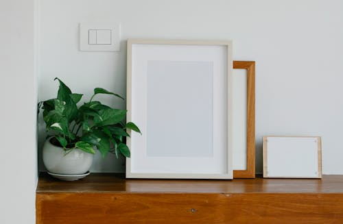 Empty frames and board with sheet of paper placed near potted plant on shelf in workspace
