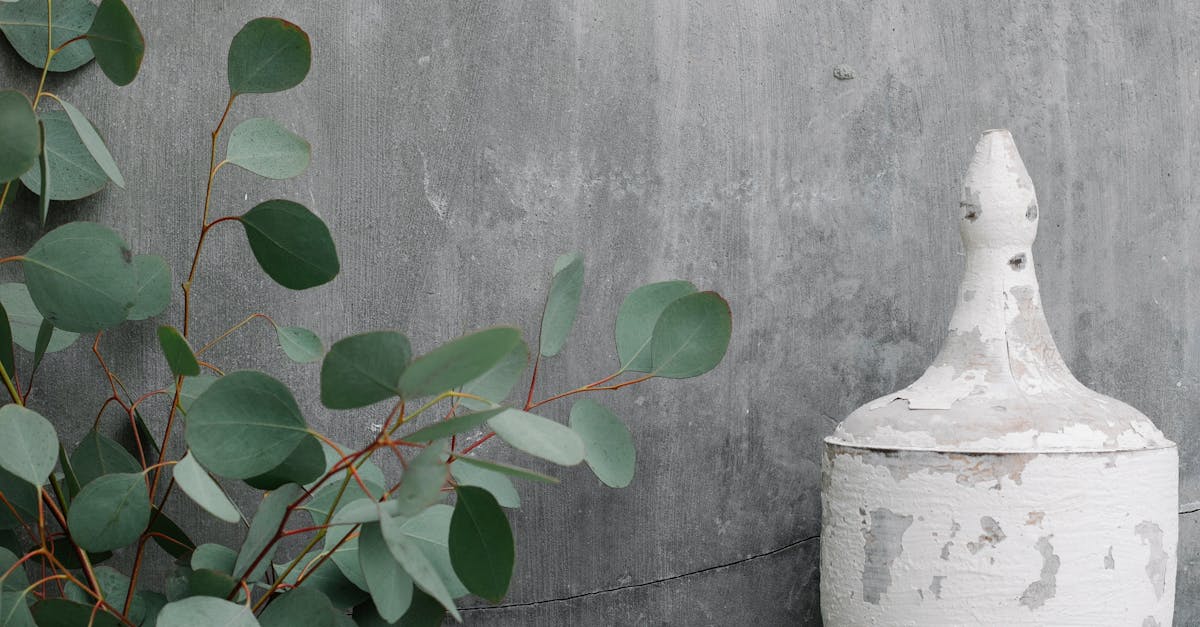 How to make Siri announce messages with AirPods