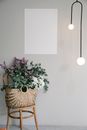 Blank paper hanging on wall in studio with blooming flowers