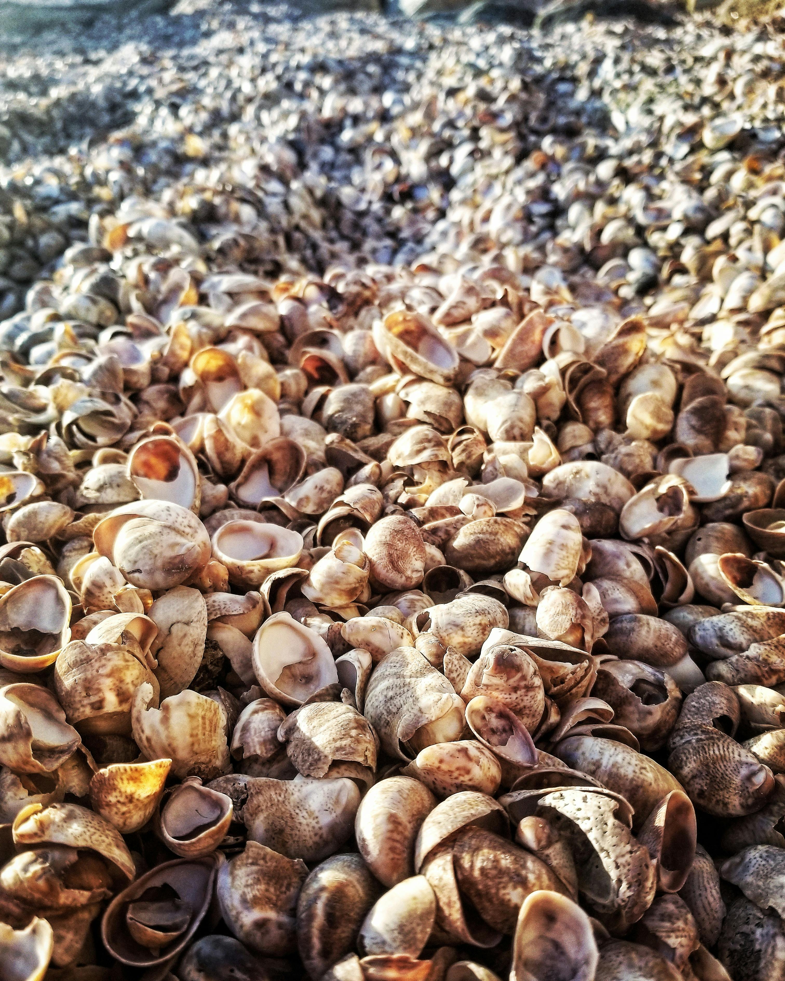 文化活动用品采购订单