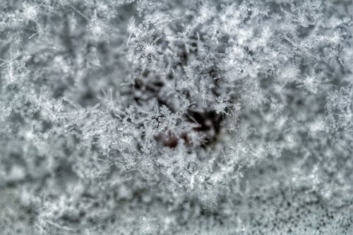 雪に覆われた地面