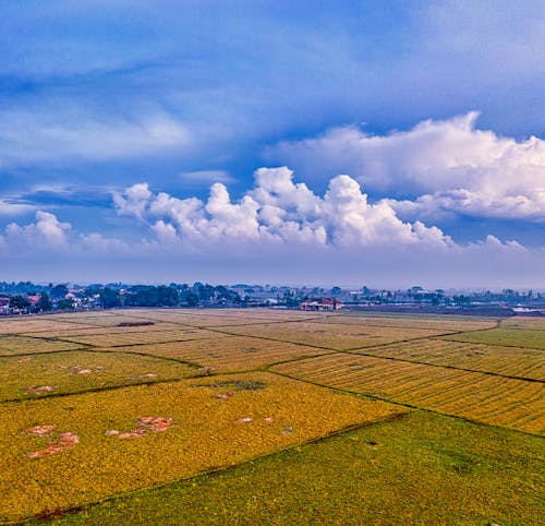 Gratis stockfoto met blauwe lucht, boerderij, buiten