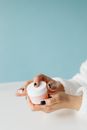 Free stock photo of tea, woman