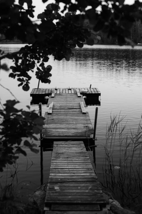 Free Grayscale Photo of Wooden Dock on the Lake Stock Photo