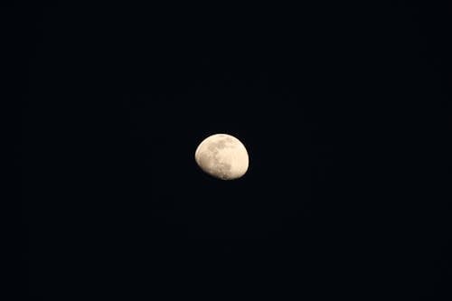 Free stock photo of full moon, landscape background, moon Stock Photo