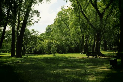 Free stock photo of ibirapuera park, parque do ibirapuera Stock Photo