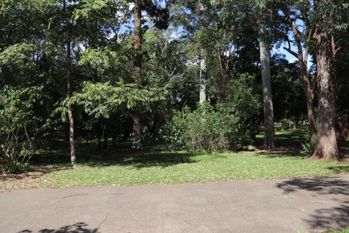 Free stock photo of ibirapuera park, parque do ibirapuera Stock Photo