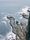 sea nature