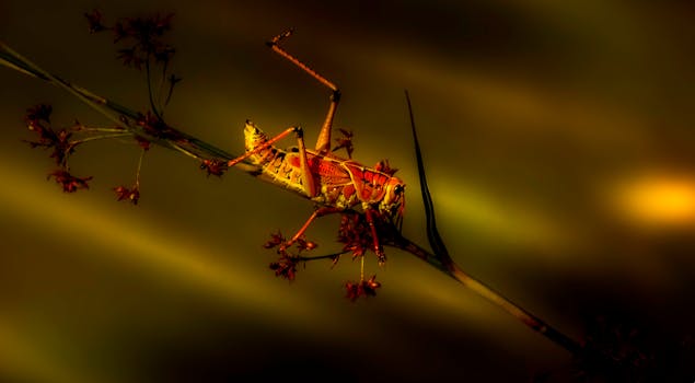 A striking close-up image of a grasshopper perched on a twig with focus on its vivid colors in nature.