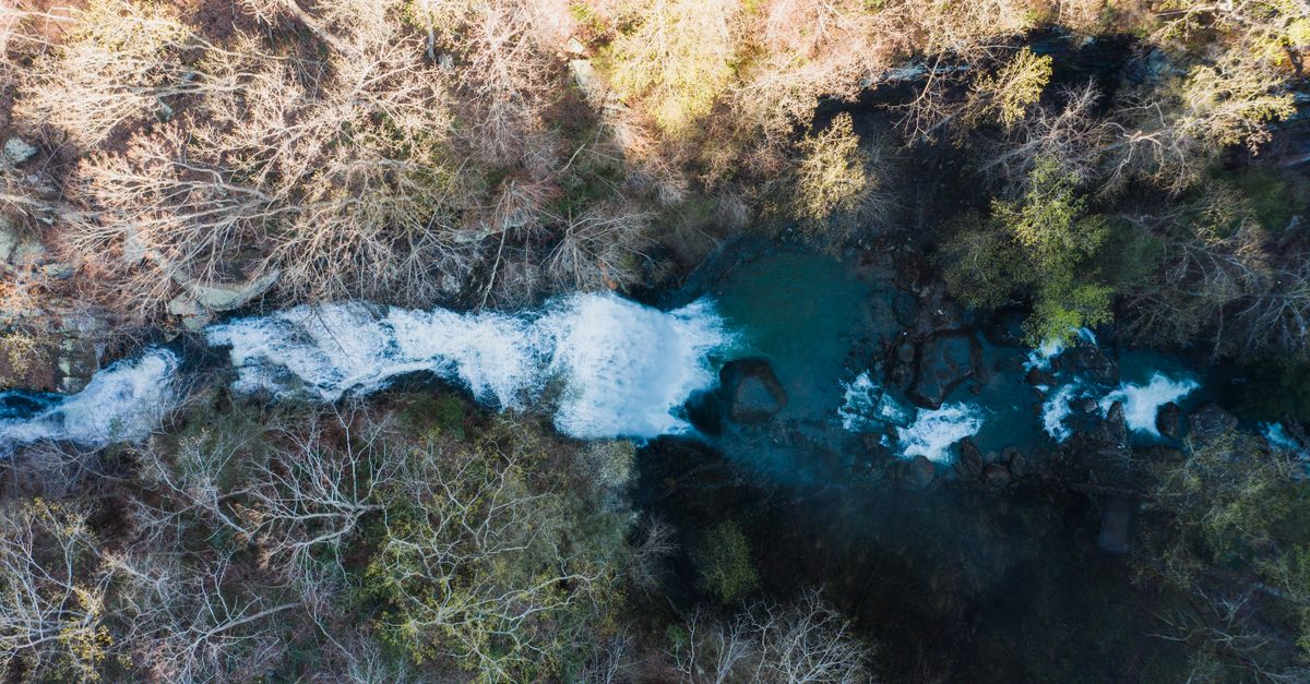 Spectacular drone view of rapid waterfall flowing amidst leafless autumn trees through rocky cliff in Cloudland Canyon on sunny day