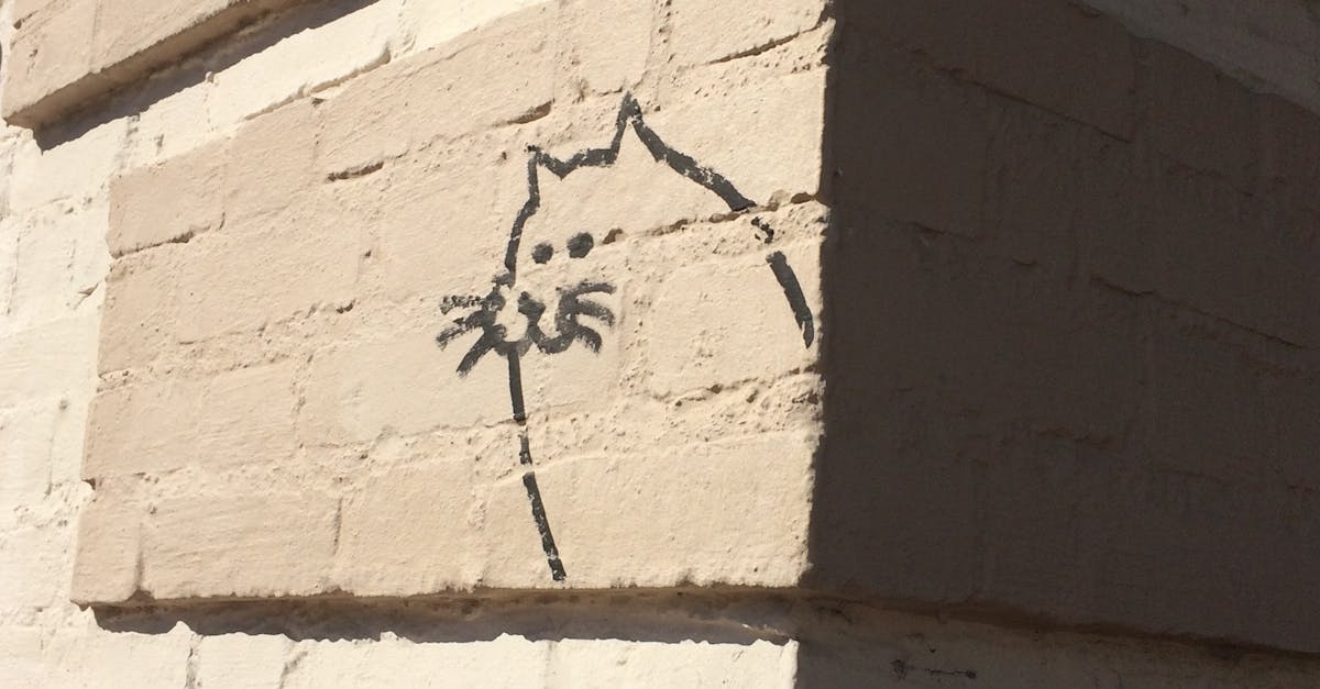 Free stock photo of cat, street art