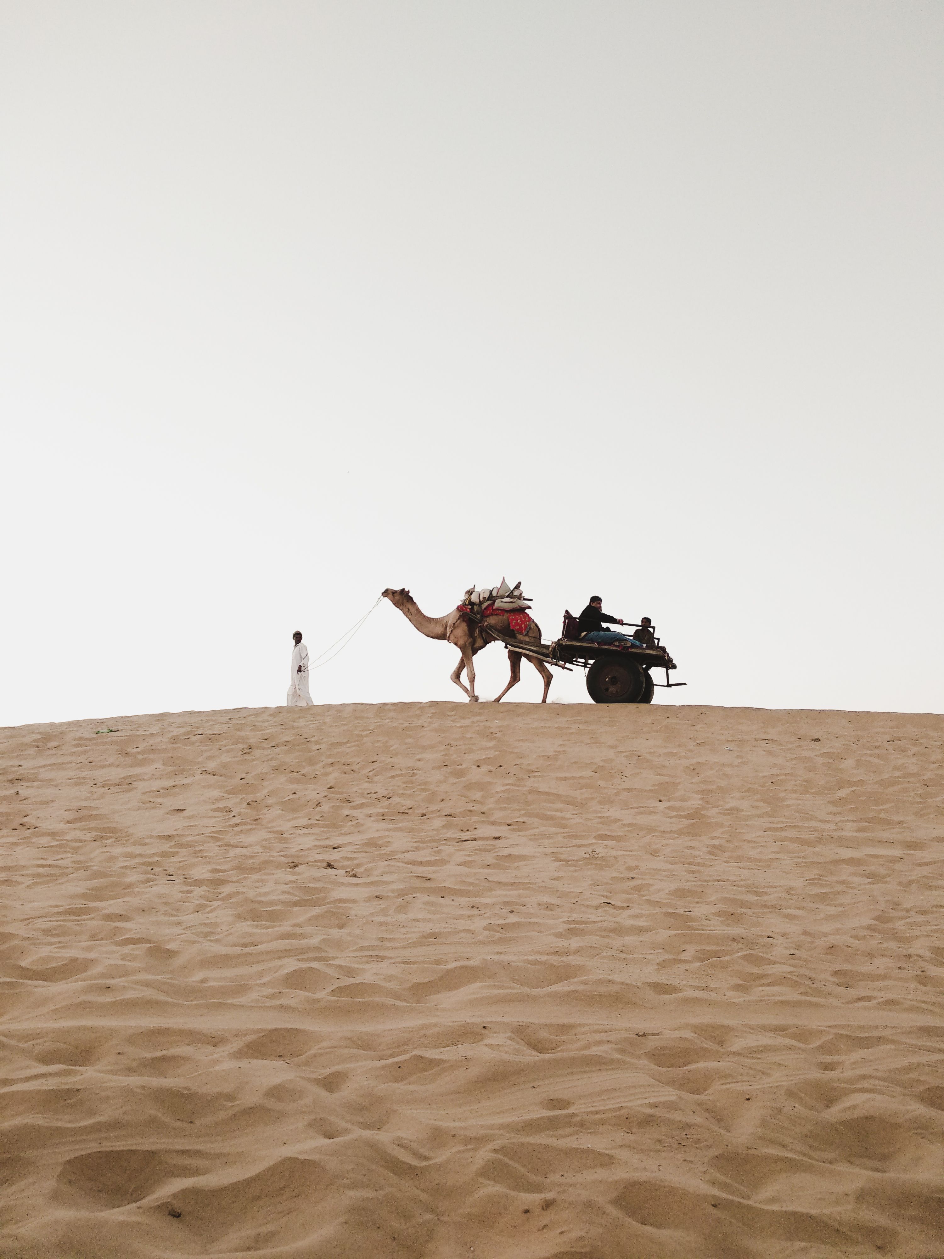A camel pulling a cart across a sand dune in the Rajasthan desert