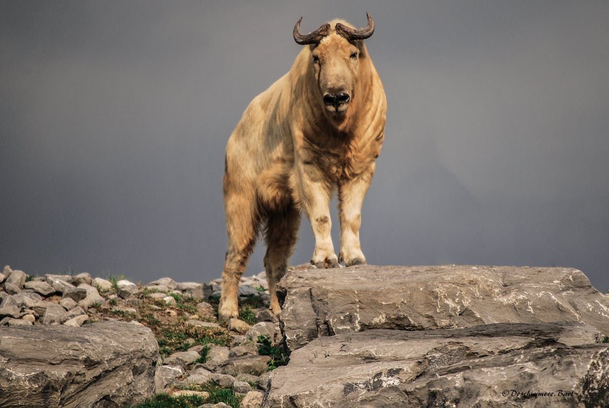 Older person walking outdoors on a sunny path, appearing calm and thoughtful