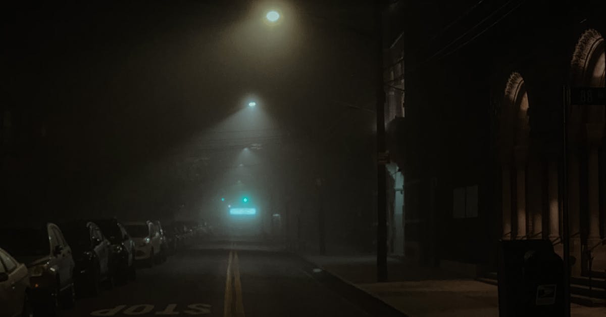 Glowing streetlights near empty asphalt road with parked modern cars in city on foggy night