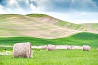 天空多云，起伏的丘陵和散落的干草包构成了一幅如画的风景，尽显乡村的宁静