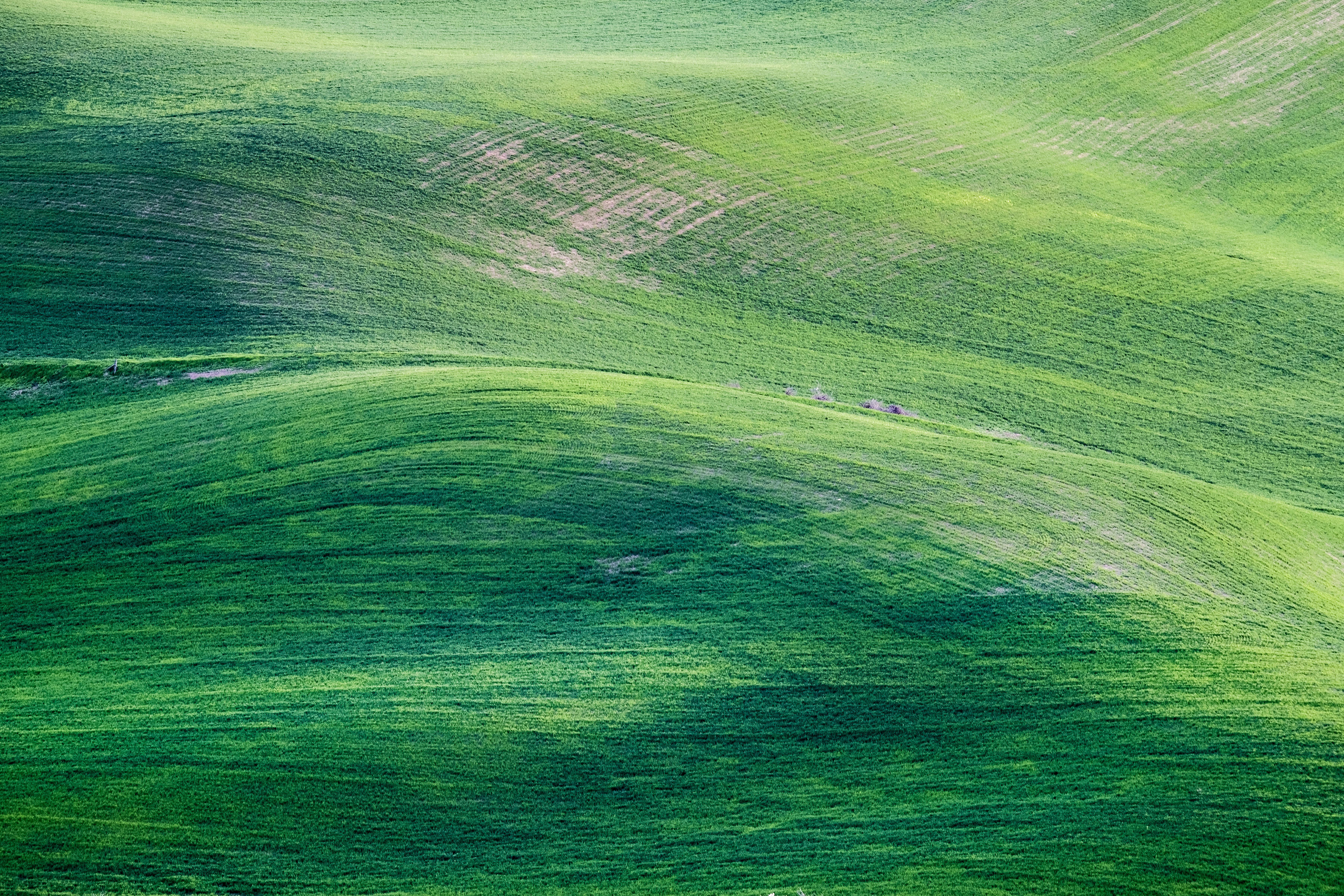 green mountain painting