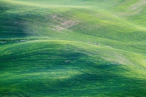 Pintura Montaña Verde