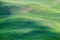 连绵起伏的绿色丘陵充满活力，展现着自然的美景与宁静