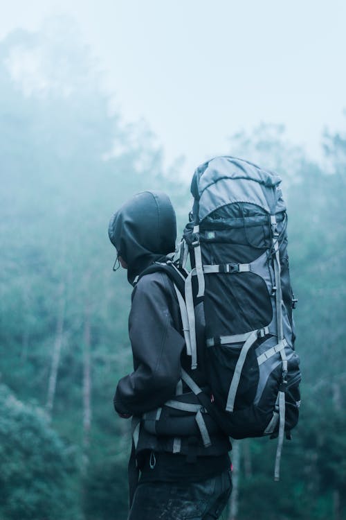 Ücretsiz Siyah Kapüşonlu Giyen Adam Sisli Havalarda Siyah Ve Gri Backpacker Ağaçların Yanına Taşıyor Stok Fotoğraflar