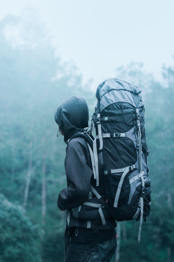 Man Wearing Black Hoodie Carries Black and Gray Backpacker Near Trees during Foggy Weather