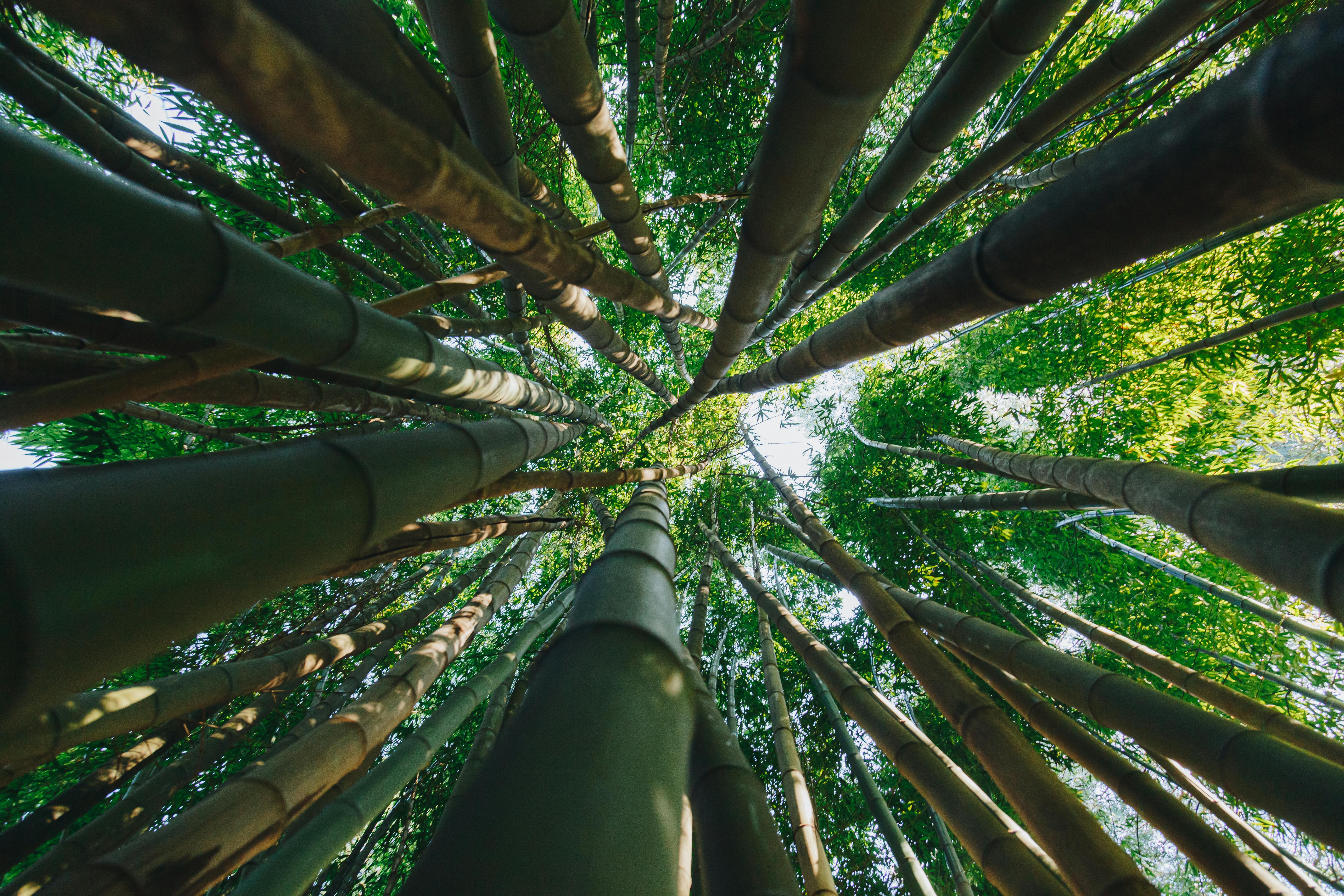 corporate governance esg — Photo by Nuno Fangueiro on Pexels