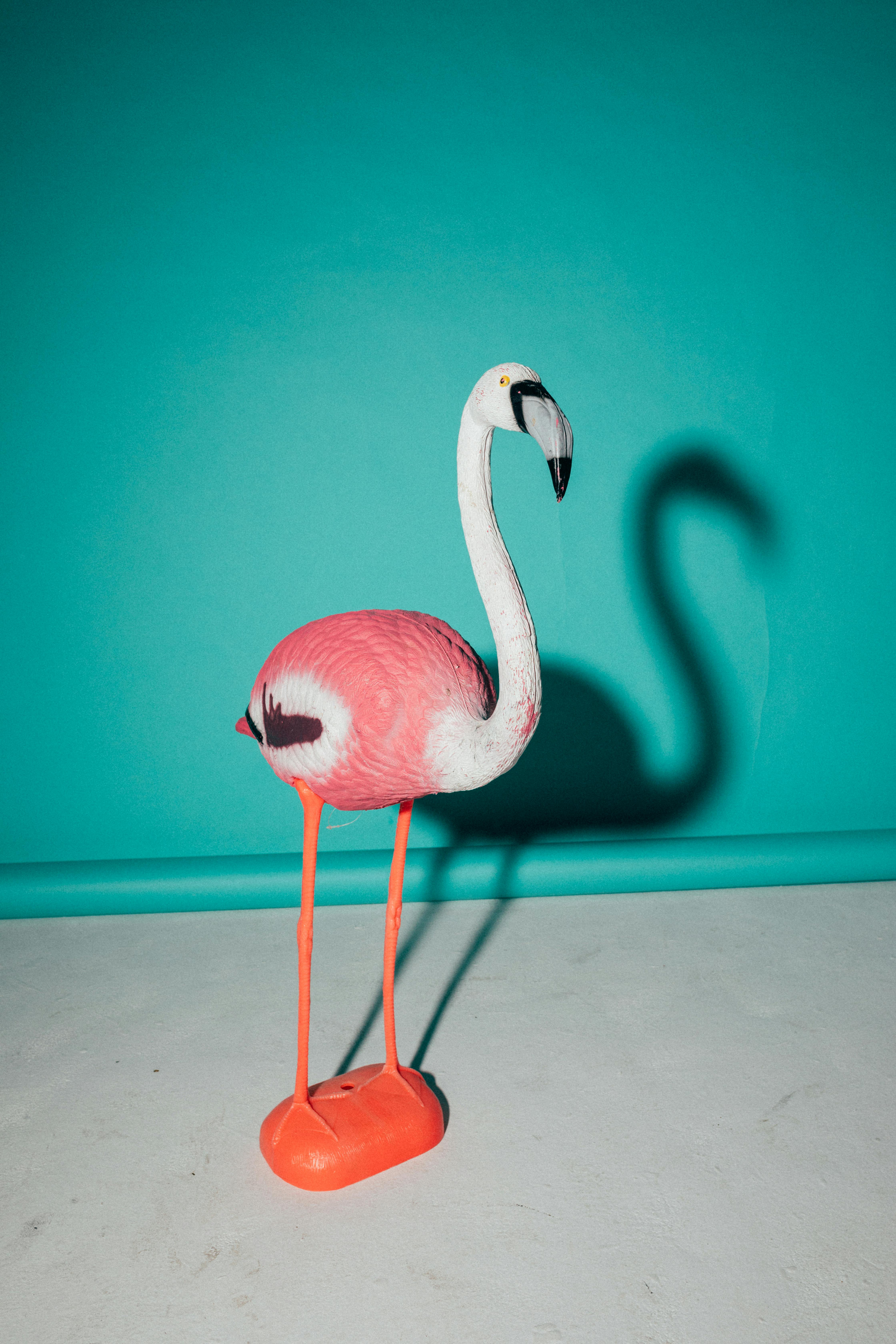 Pink Flamingo Figurine \u00b7 Free Stock Photo