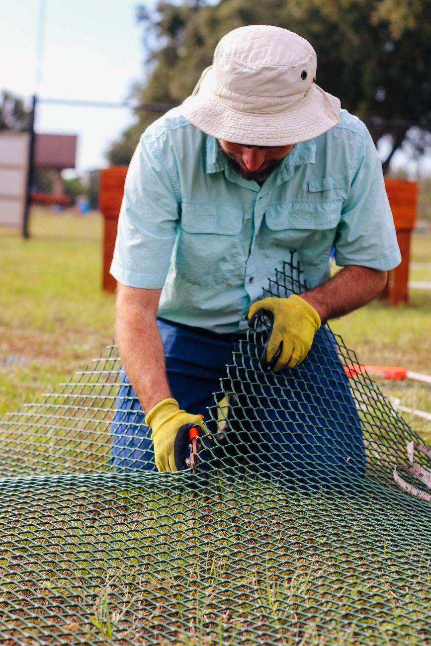 raised garden bed vole barrier mesh installation